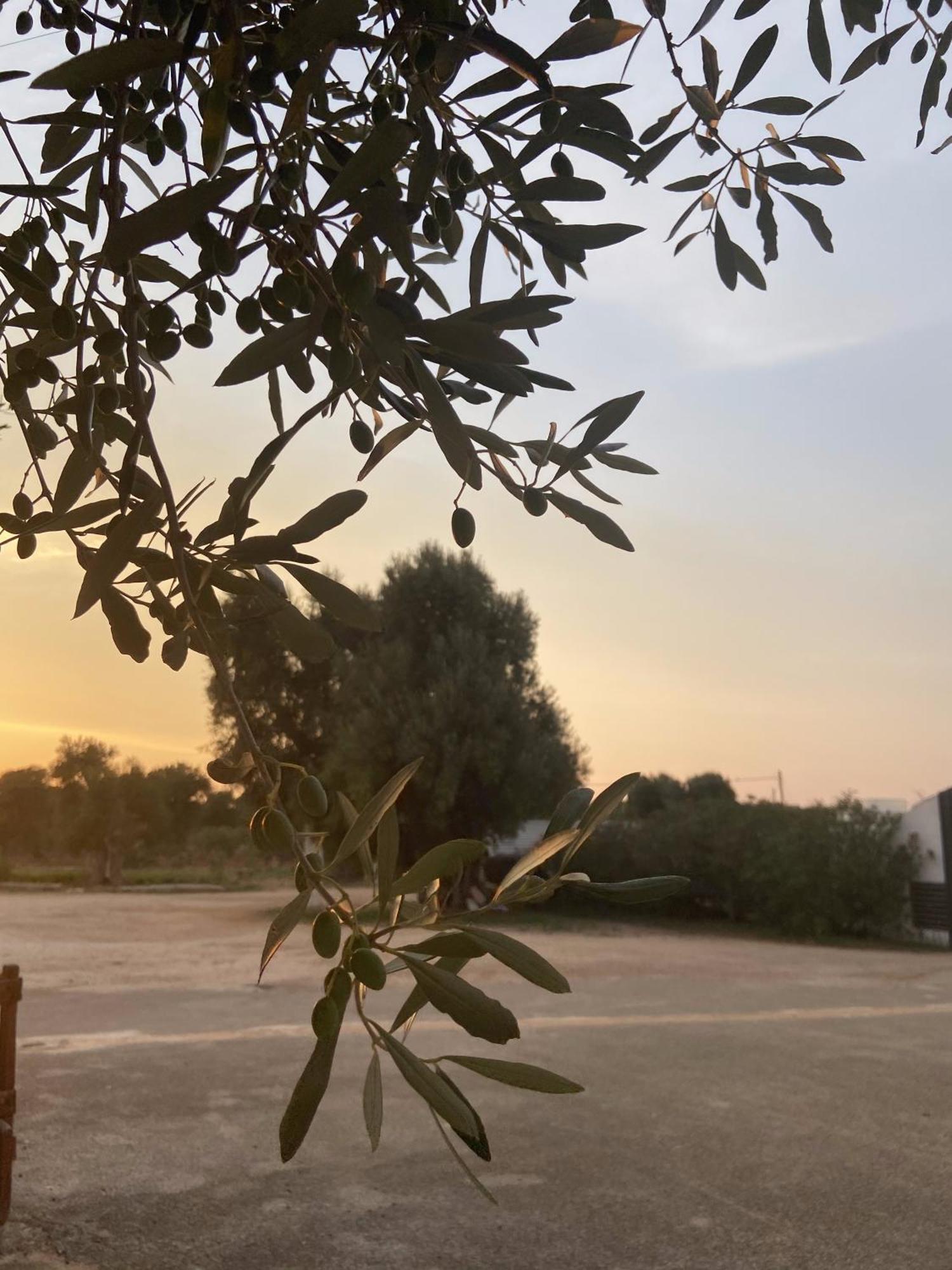 Masseria Conca D'Oro Остуні Екстер'єр фото